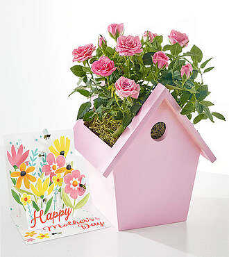 Pink Mini Rose and Mother's Day Pop Up Card - FedEx