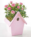 Image of Standard version for Pink Mini Rose in Decorative Birdhouse - FedEx