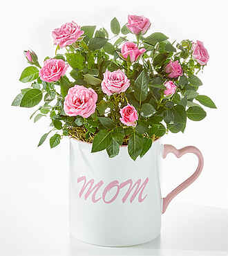 Make Mom's Day Mini Rose - FedEx - YAF56