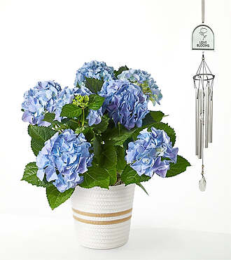 Beyond Blue Hydrangea and Love Blooms Windchime Gift Set - FedEx - YAF62