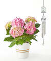 Image of Standard version for Pink Hydrangea and Love Blooms Windchime Gift Set - FedEx