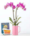 Image of Standard version for Birthday Bloom Orchid - FedEx