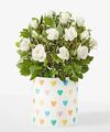 Image of Standard version for Pure and True White Rose Plant - Hearts Ceramic Container - FedEx