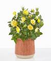 Image of Standard version for Sunshine Yellow Rose Plant - Orange Leaves Ceramic Container - FedEx