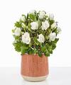 Image of Standard version for Pure and True White Rose Plant - Orange Leaves Ceramic Container - FedEx