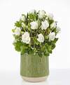 Image of Standard version for Pure and True White Rose Plant - Green Leaves Ceramic Container - FedEx