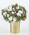 Image of Standard version for Savor Every Moment White Azalea - FedEx
