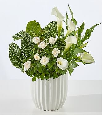 Perfect Peace White Garden - FedEx - YAFB8