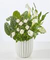 Image of Standard version for Perfect Peace White Garden - FedEx