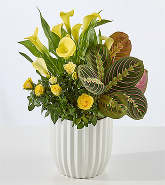 Golden Bloom Yellow Garden  FedEx