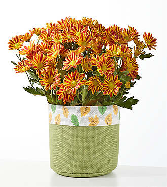Fall Leaves Orange Mum - FedEx