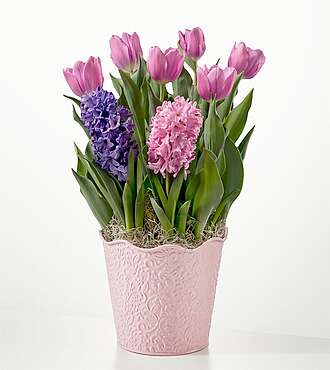 Let Your Love Grow Bulb Garden - FedEx - YMF17