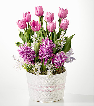 Bring on the Blooms Tulip Bulb Garden - FedEx - YMF27