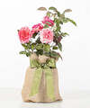 Image of Standard version for Mother's Love Pink Rose - FedEx