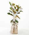 Image of Standard version for Cherished Companion Pet Sympathy Magnolia - FedEx