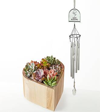 My Heart Succulent Garden and Love Blooms Windchime Gift Set - FedEx - YSF10