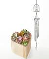 Image of Standard version for My Heart Succulent Garden and Love Blooms Windchime Gift Set - FedEx