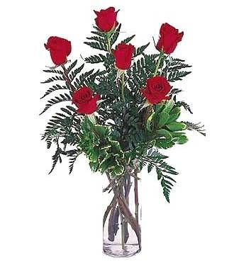 Half Dozen Roses - Intl